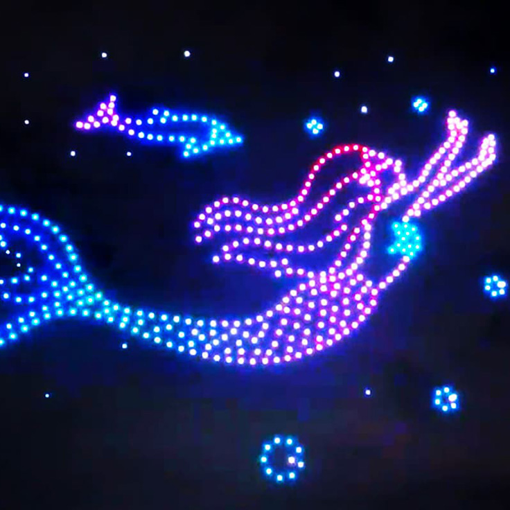 Drone Show
