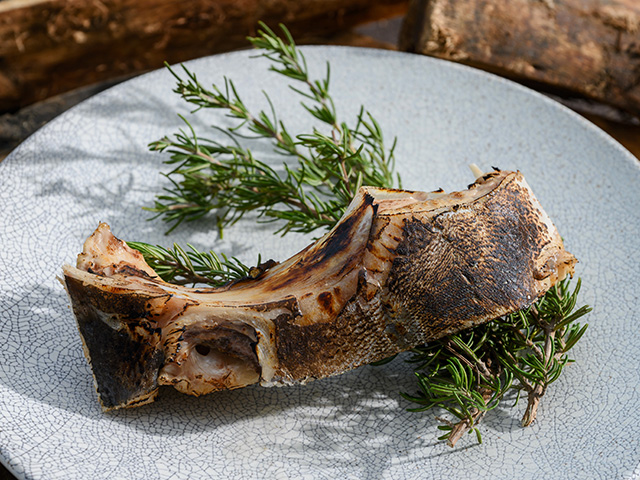 Grilled Bonito Collar with Herbs