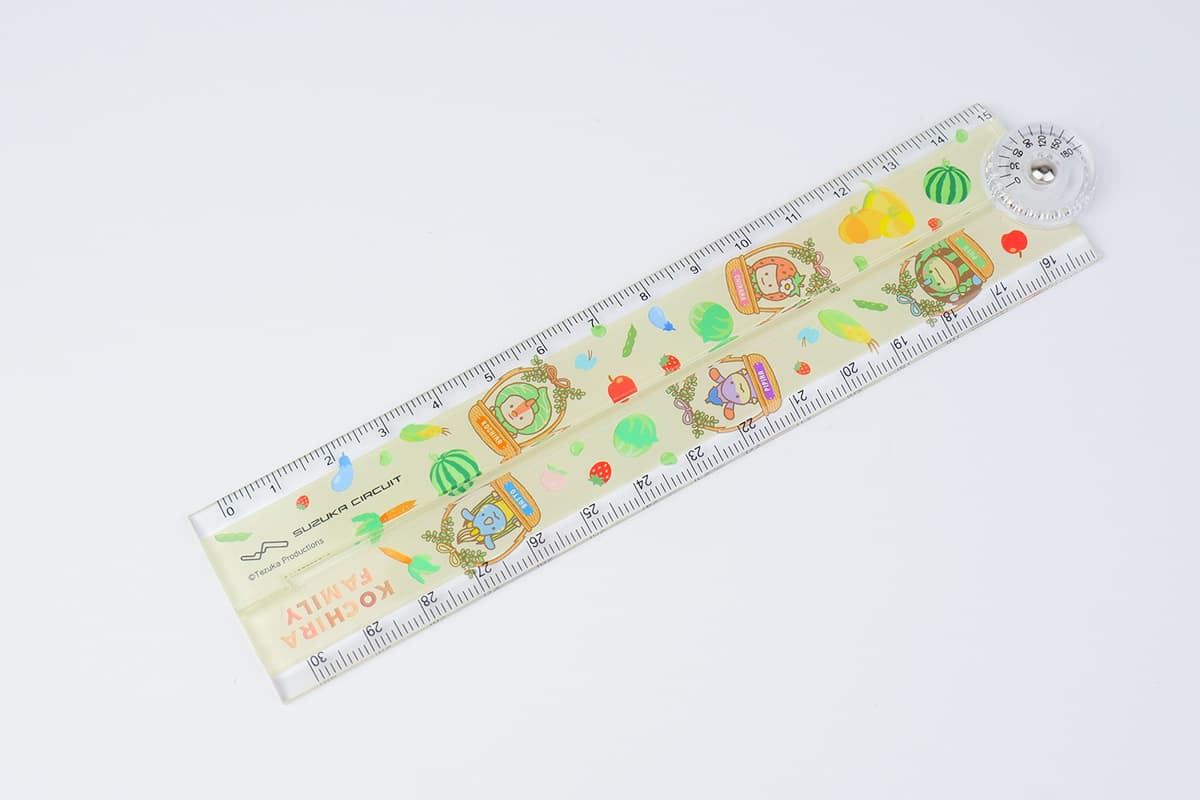 Potagenne Folding Ruler