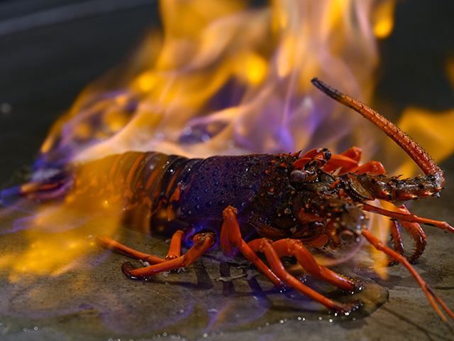 Ise lobster and Matsusaka beef course