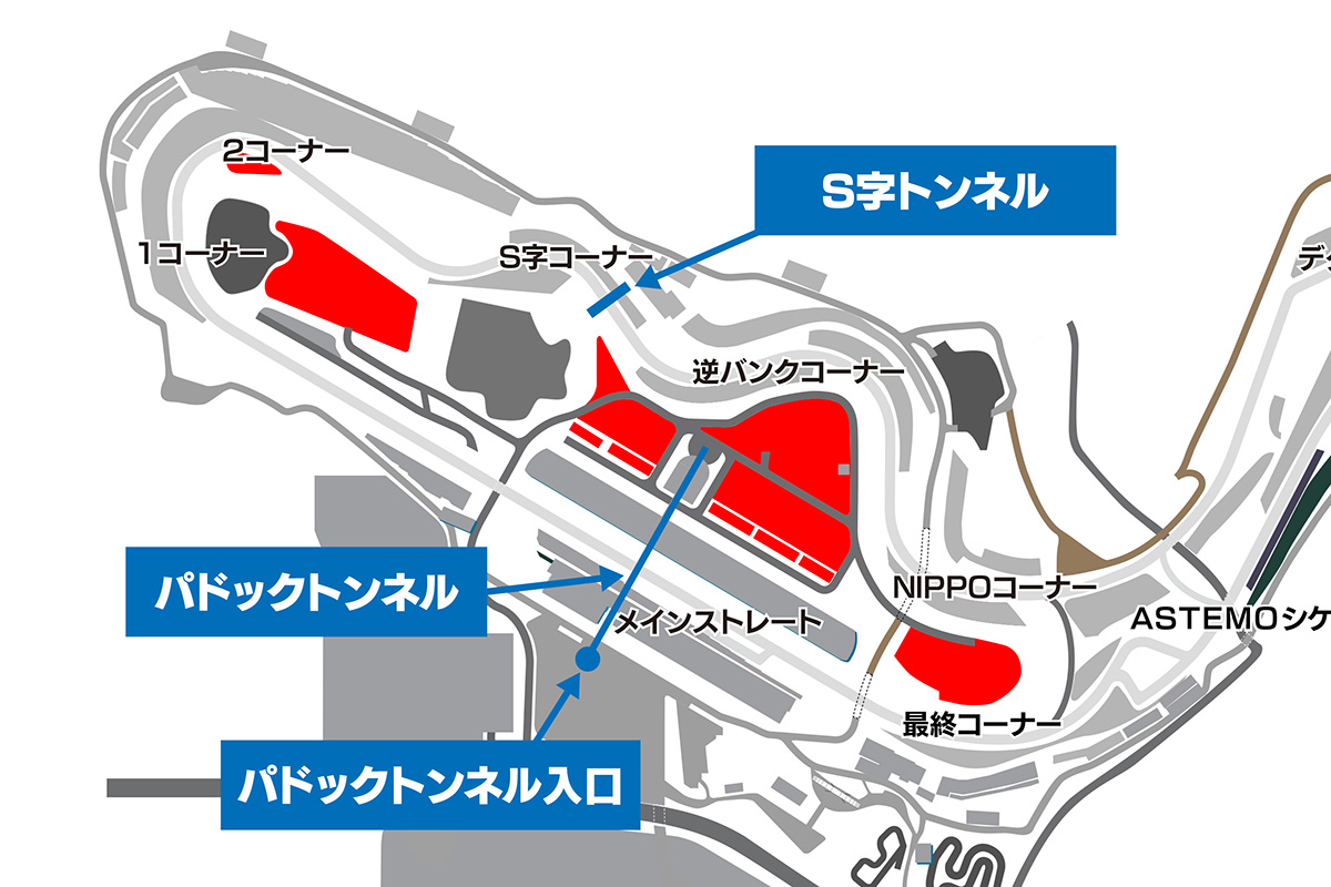 Here Is the Paddock Area!