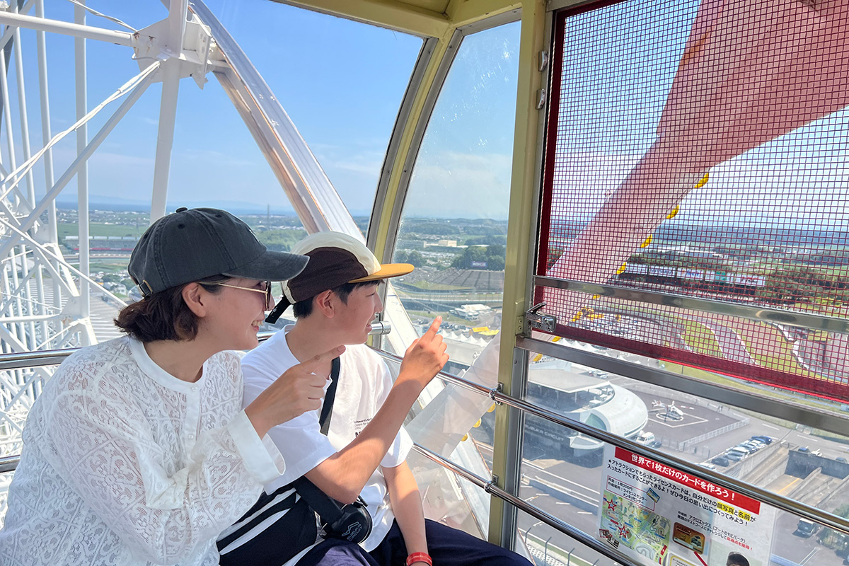 Ferris Wheel "Circuit Wheel"