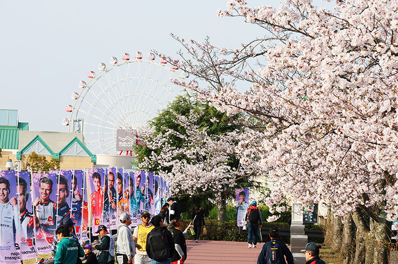 F1観戦“みんなの声”募集