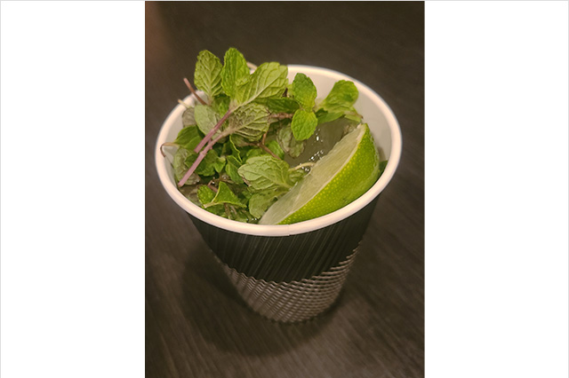 セルブロック「モヒート」