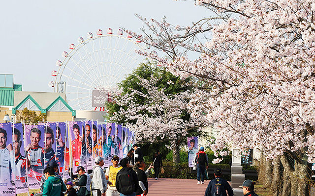 F1観戦“みんなの声”