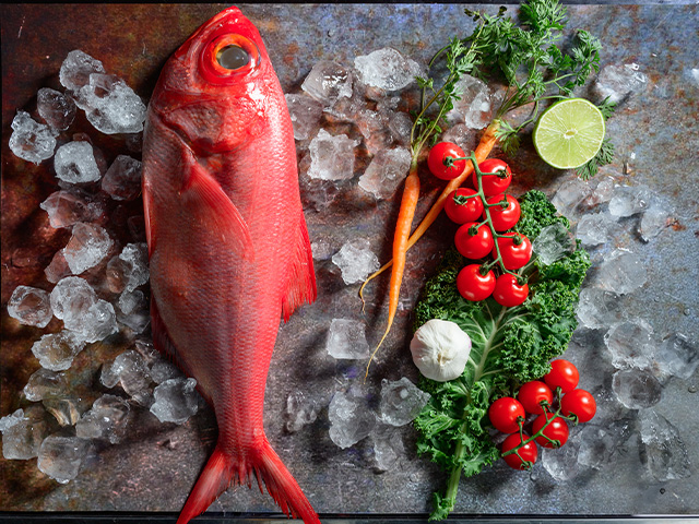 三重県産魚介と黒毛和牛コース