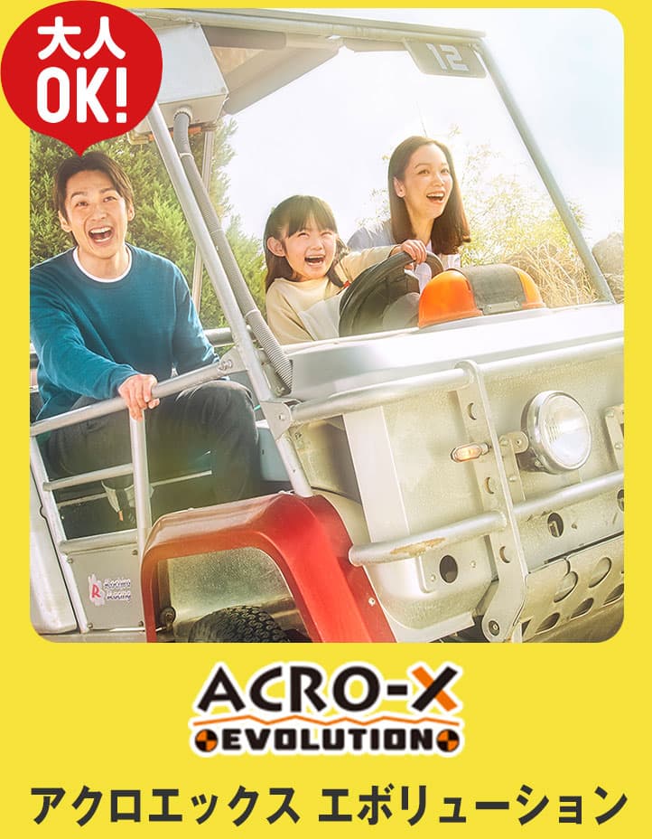 アクロエックス エボリューション