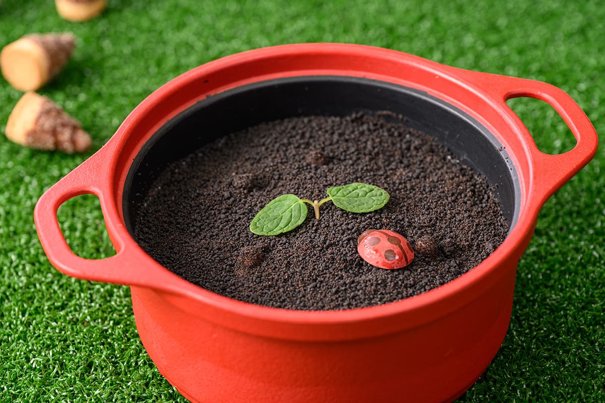 找找看！收穫布丁